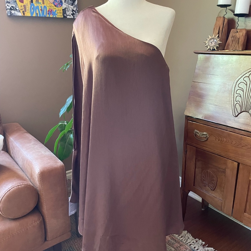 Le Chateau One-Shoulder Dress in Rich Brown